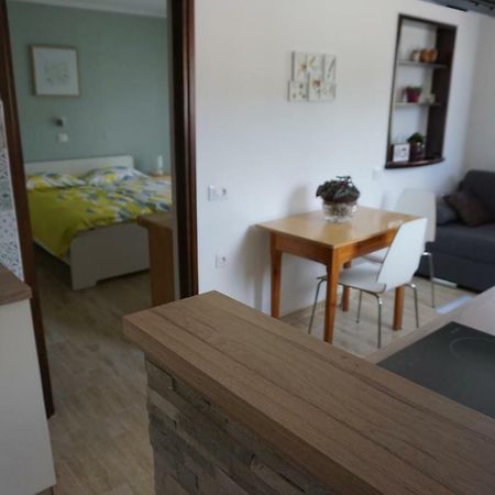 Apartma Irena Volce 外观 照片