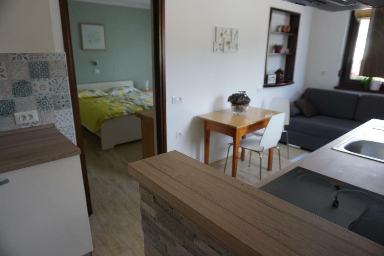 Apartma Irena Volce 外观 照片